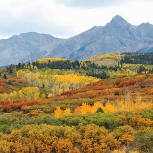 Meet your Posher, Kari